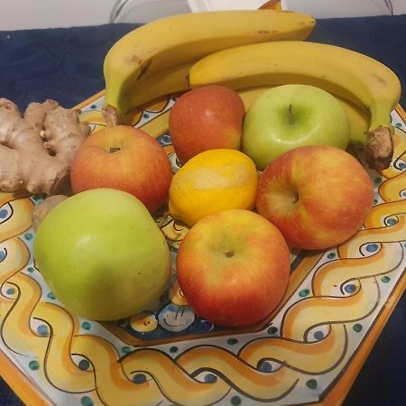 سان لاتْسارو دي سافين B&B La Rotonda المظهر الخارجي الصورة